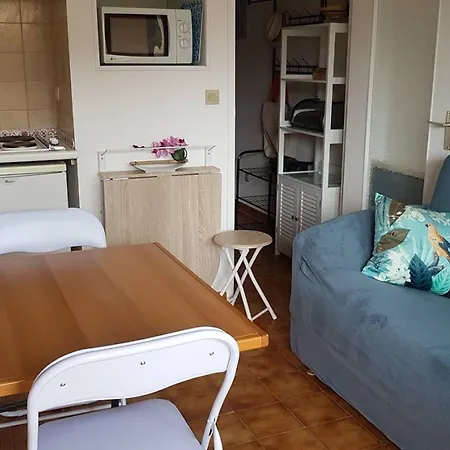 Fonctionnel 18m², Parking, Commerces Et Plages à Proximité - Fr-1-610-119 Appartamento